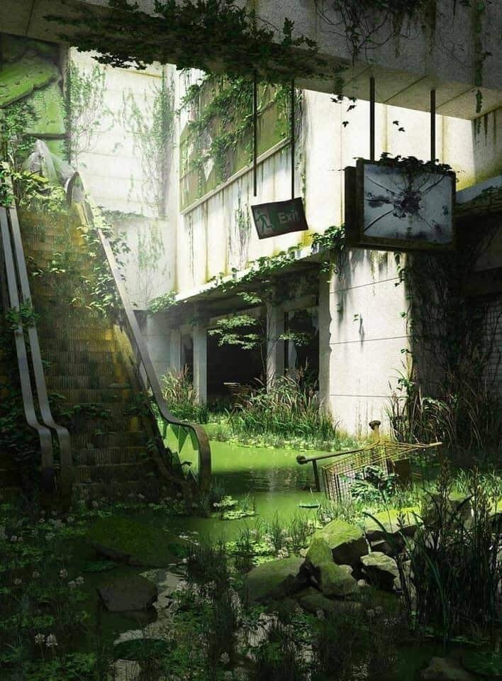 inside-no-use-super-market