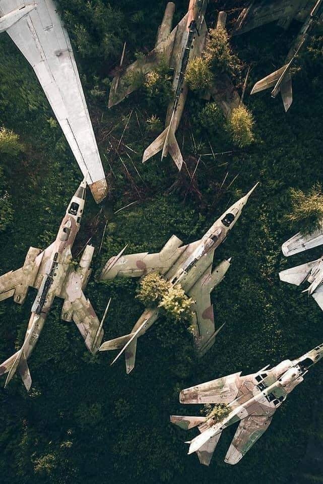 no-use-fighter-fligh-in-forest