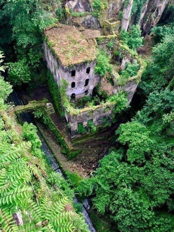 no-use-house-in-forest