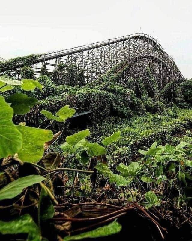no-used-children-park-in-forest