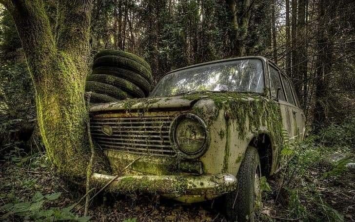 old-car-in-forest-2