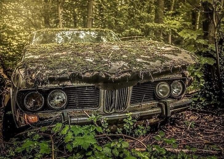 old-car-in-forest