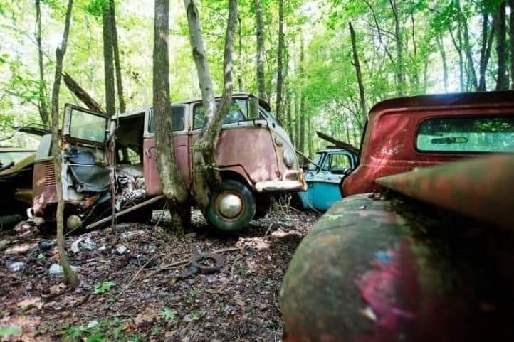 old-cars-in-forest