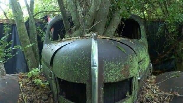 tree-in-old-car-5